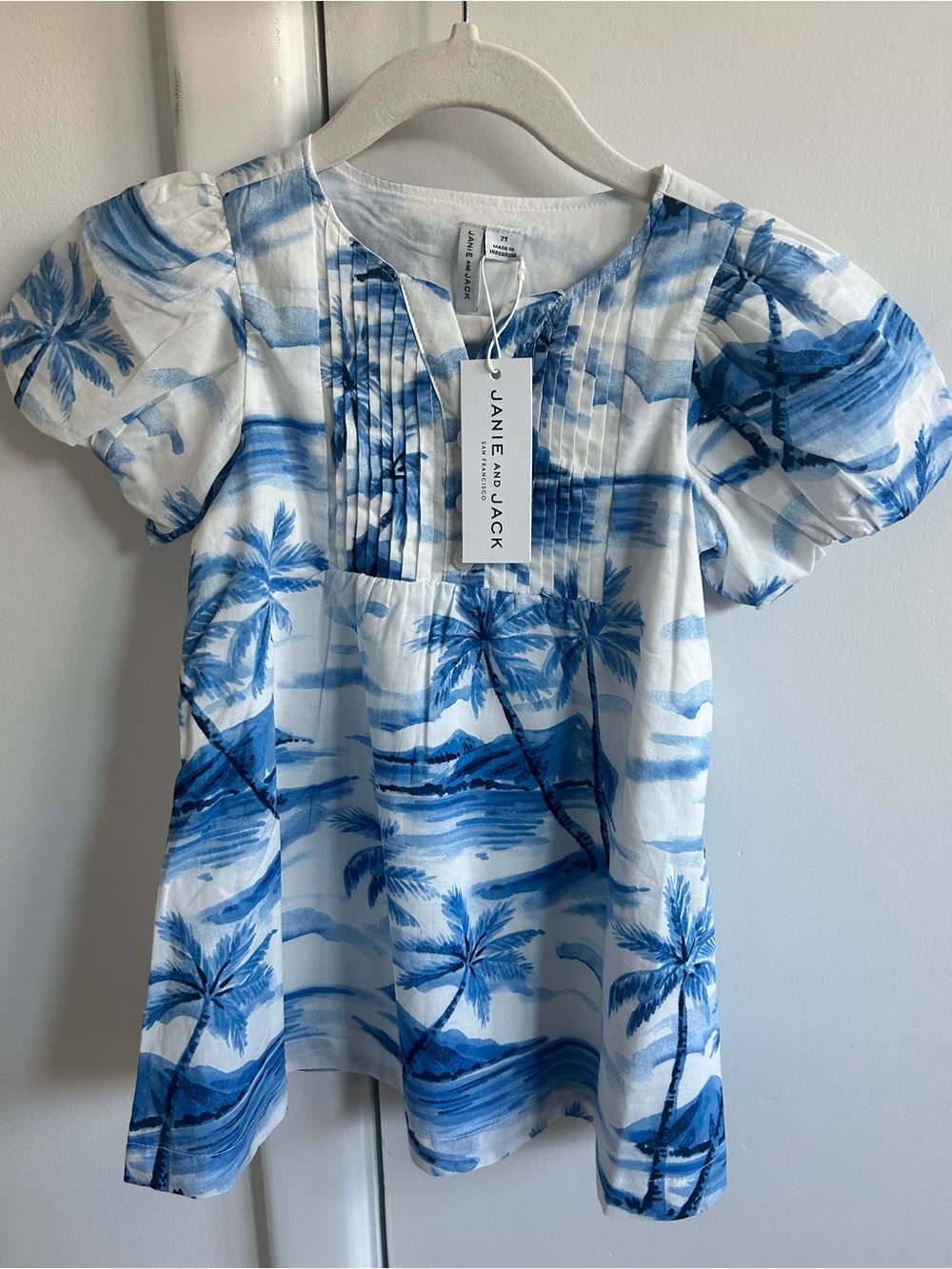 Janie and Jack Blue Palm-Print Girls' Dress 2T